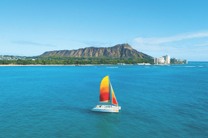 catamaran sailing on the ocean